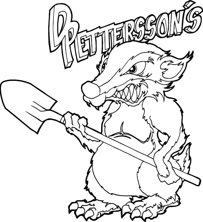 D Petterssons